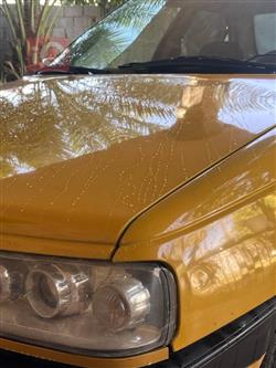 Peugeot 405